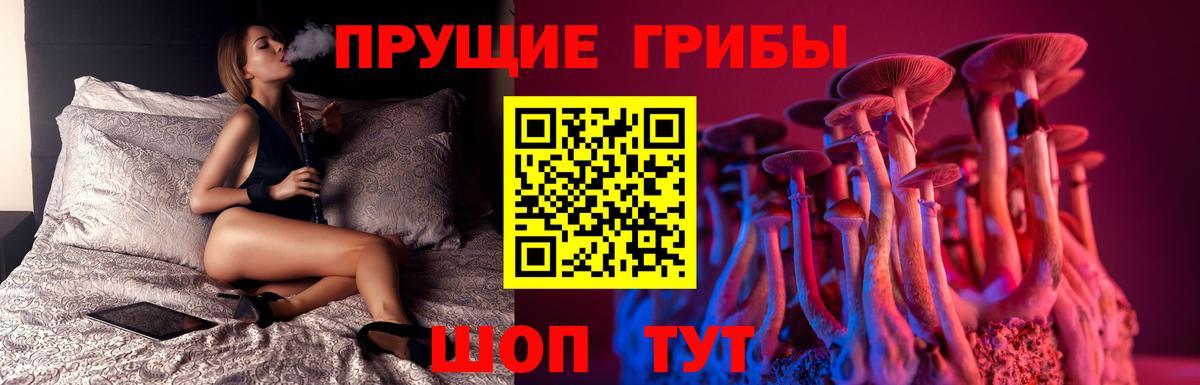 Галлюциногенные грибы Cubensis Коммунар